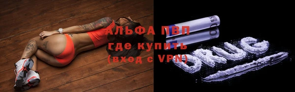 PSILOCYBIN Верхний Тагил