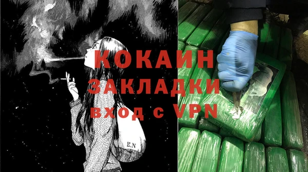 PSILOCYBIN Верхний Тагил